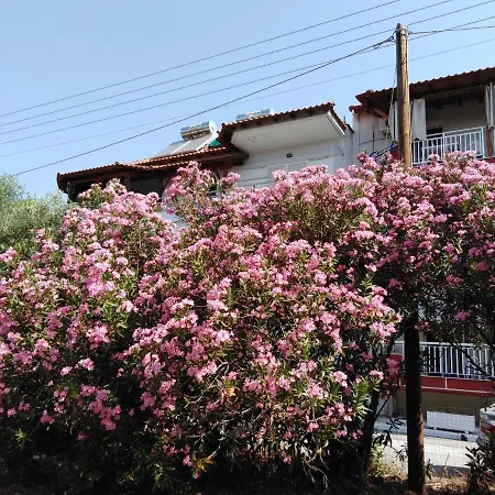 Levanta Apartment Asprovalta